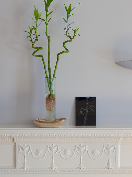 „Bambus" in einer Privatsammlung, New York 2015 -2016, 2016 &ndash; Ed. 3+2; 100 x 74,8 cm; Fotomontage, Pigmentdruck auf Papier, Diasec