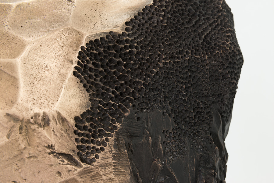 ZYR (Detail), 2019 – 220 x 75 x 65 cm; Bronzeguss handverschliffen und feuerpatiniert, Stahlsockel; Foto: Annette Kradisch