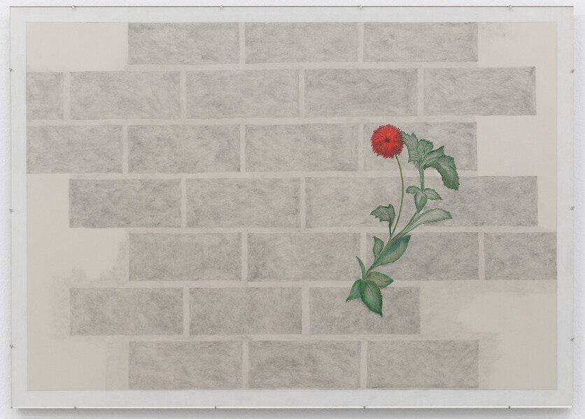 Ohne Titel, 2019 &ndash; 50 x 70 cm; Bleistift, Buntstift/Papier; 
Foto: Annette Kradisch