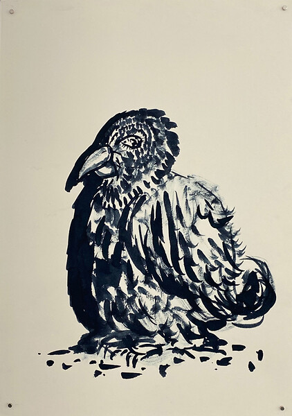 Kleiner Teller-Vogel, 2019 – 29,7 x 21 cm; Tusche auf Papier