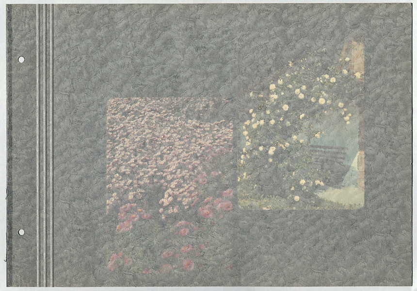 aus „Schneewittchen“ Blatt 12 von 24, 2007 &ndash; 22,7 x 32,6 cm; Karton, Offset-laminiert, Pergamin; Foto: Annette Kradisch