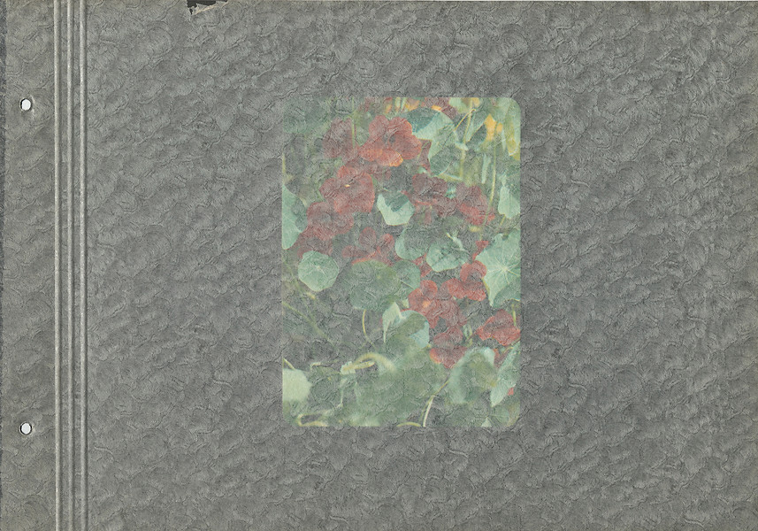 aus „Schneewittchen“ Blatt 2 von 24, 2007 – 22,7 x 32,6 cm; Karton, Offset-laminiert, Pergamin; Foto: Annette Kradisch