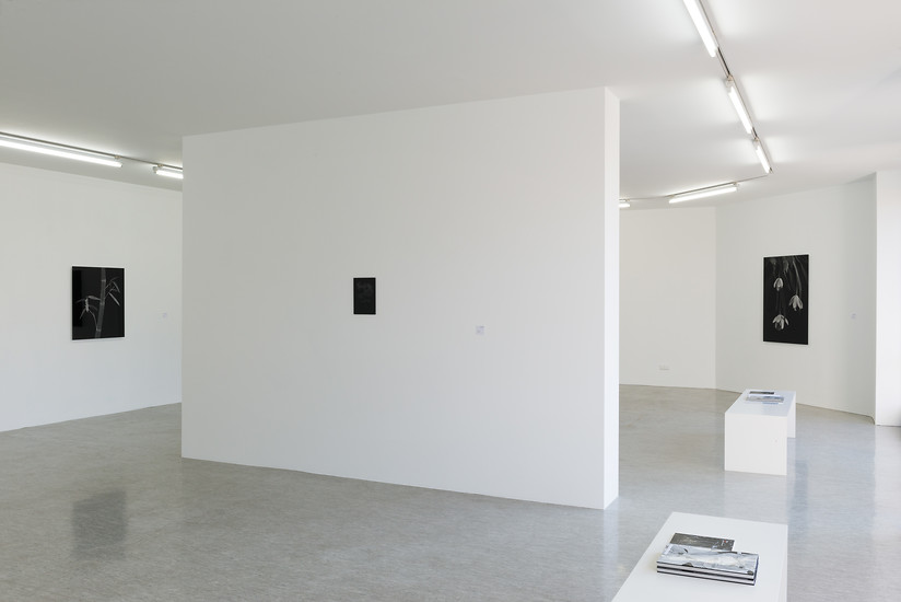 Foto: Annette Kradisch