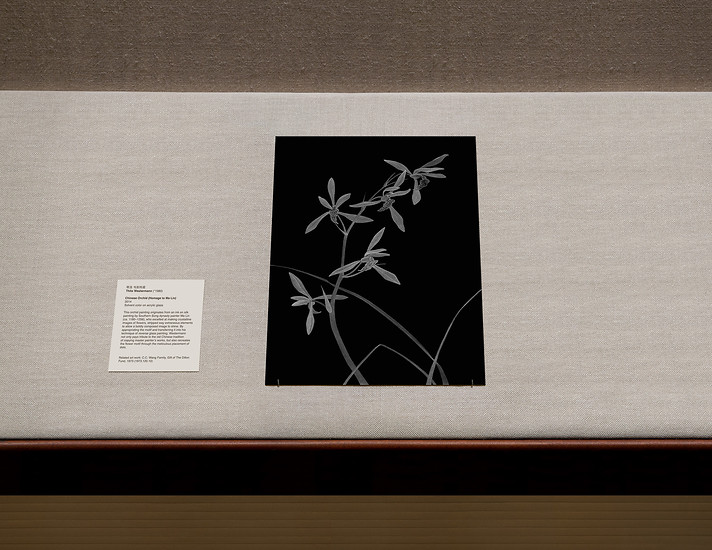 „,Chinesische Orchidee (Hommage an Ma Lin)’ im Metropolitan Museum of Art, New York 2014“, 2014|2018 – Ed. 1 von 3+1; 52,4 x 67,9 cm; Giclée-Druck auf Papier, Diasec