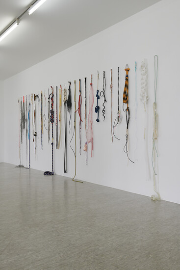 Ausstellungsansicht MAGIC - Bea Mayer Seilungen 1 bis 29 &ndash; Foto: Annette Kradisch