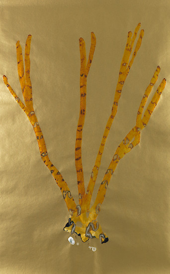 Ohne Titel (Blatt AC), 2015/2016 &ndash; 110,5 x 70 cm; Tusche auf goldenem Papier