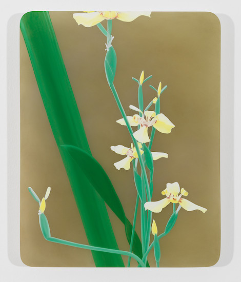 Christian Faul, 32011 b-tri, 2011 &ndash; 64 x 50 x 5 cm; Öl/Acrylglas