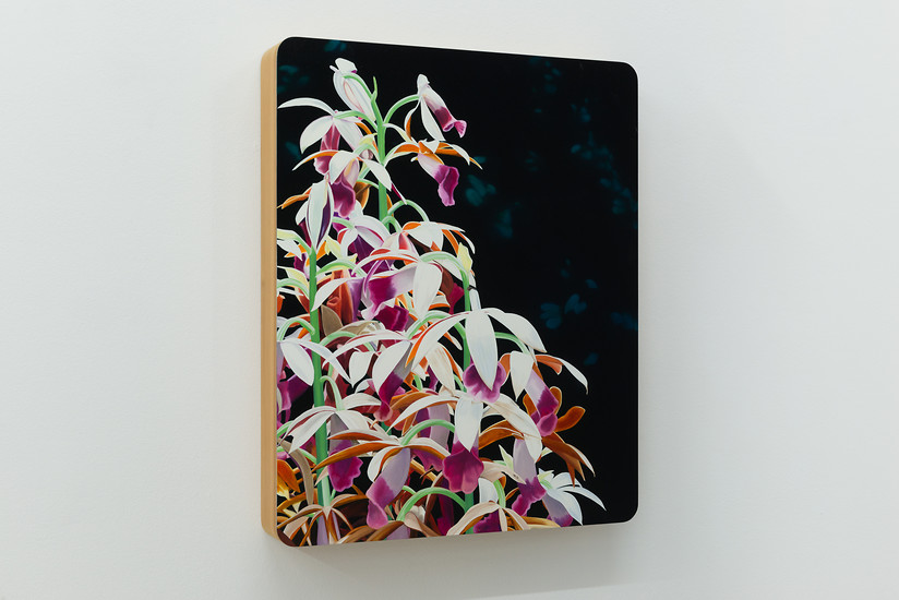 Christian Faul, pau-2601-0, 2020 &ndash; 70x57x8cm; Öl/Aluminiumschichtplatte, Holz; Foto: Annette Kradisch