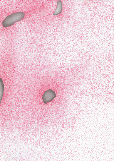 o. T., 2010 &ndash; 29,7 x 21 cm; Buntstift, Papier, Aludibond