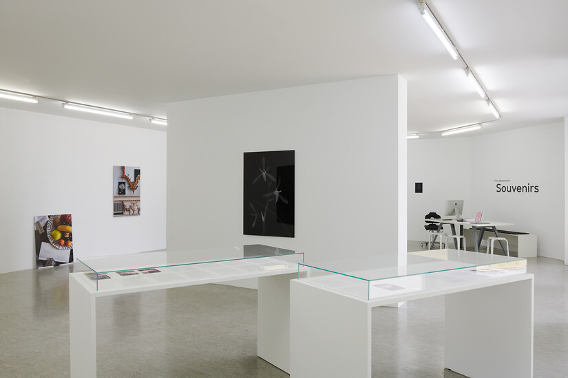 Ausstellungsansicht „Thilo Westermann - Souvenirs” &ndash; Foto: Annette Kradisch