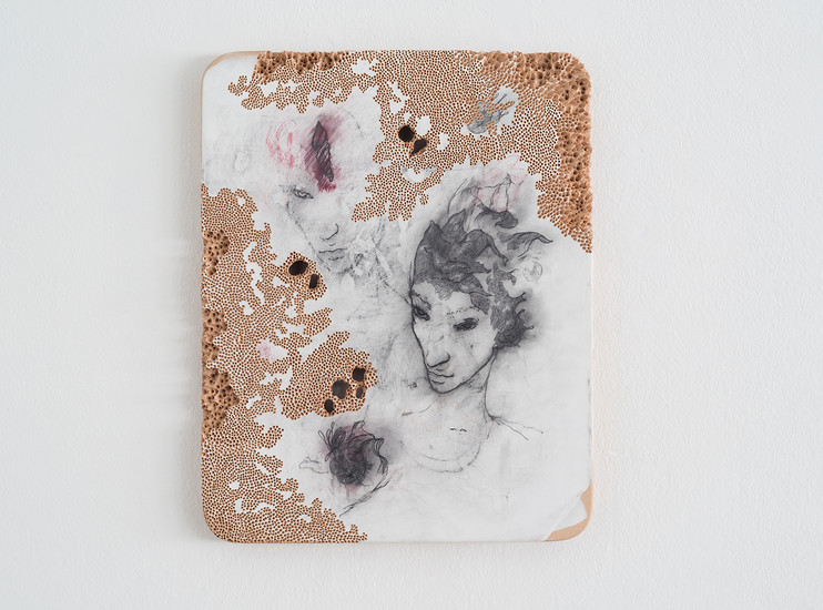 BOTANICALIRIOUS 050#031, 2018-2019 &ndash; Peter  Senoner
50 x 40 x 3 cm; Graphit, Pigment auf perforierter Purpurbuche; Foto: Annette Kradisch