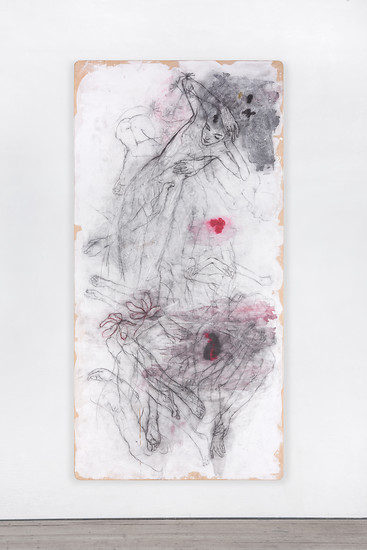 Peter  Senoner, BOTANICALIRIOUS (Y17N08), 2017 &ndash; 250 x 125 x 4 cm; Graphit, Pigment auf Purpurbuche; Foto: Jürgen Eheim