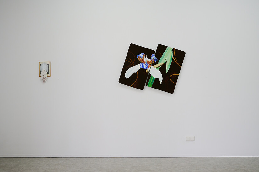 Ausstellungsansicht: Christian Faul - Gisela Kleinlein &ndash; (Foto: Annette Kradisch)