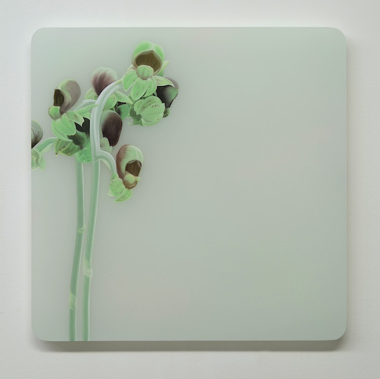 Christian Faul, 12012 b-og, 2012 &ndash; 70 x 70 x 5 cm; Öl/Acrylglas