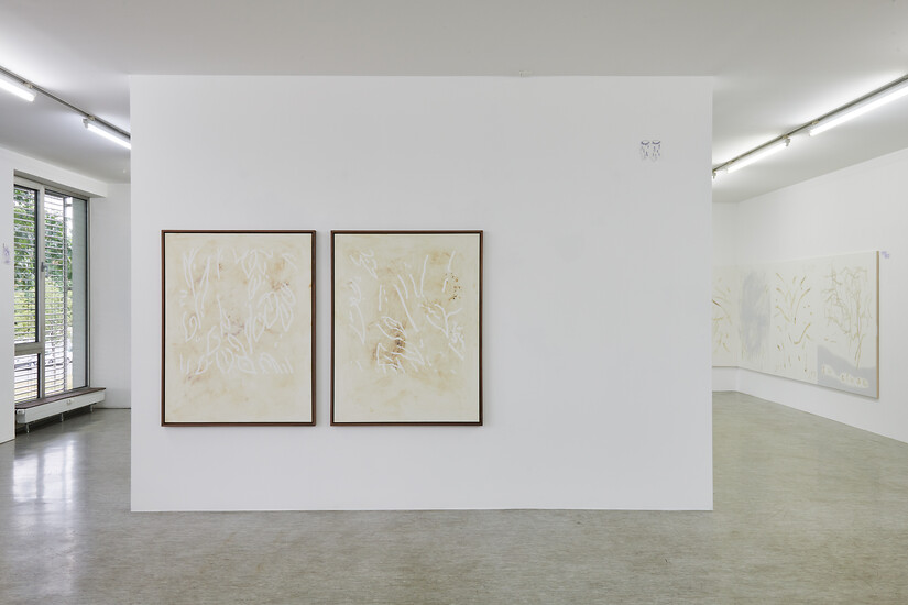 René  Radomsky, jeweils: Ohne Titel, 2025 &ndash; jeweils 130 x 100 cm o. R.; Stencilfarbe, gebleicht / Öl / LW; (Foto: Annette Kradisch)