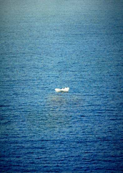 o. T. (Splashdown II) aus einer Reihe von 5, 2017 &ndash; Unikat; 28 x 22 cm; Archiv Pigmentdruck auf Photo Rag