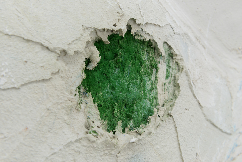 Detail, Foto: Annette Kradisch