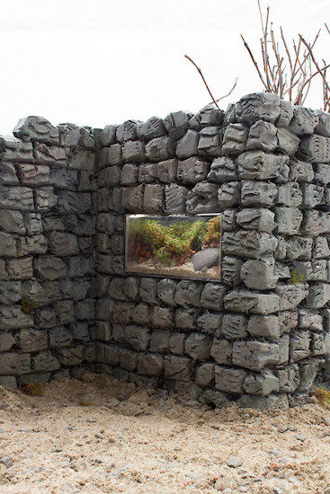 Malika  Eilers, o. T. (Aquarium), 2013 &ndash; ed. 4 + 1; 45,5 x 30,5 cm; Fotografie auf Aludibond