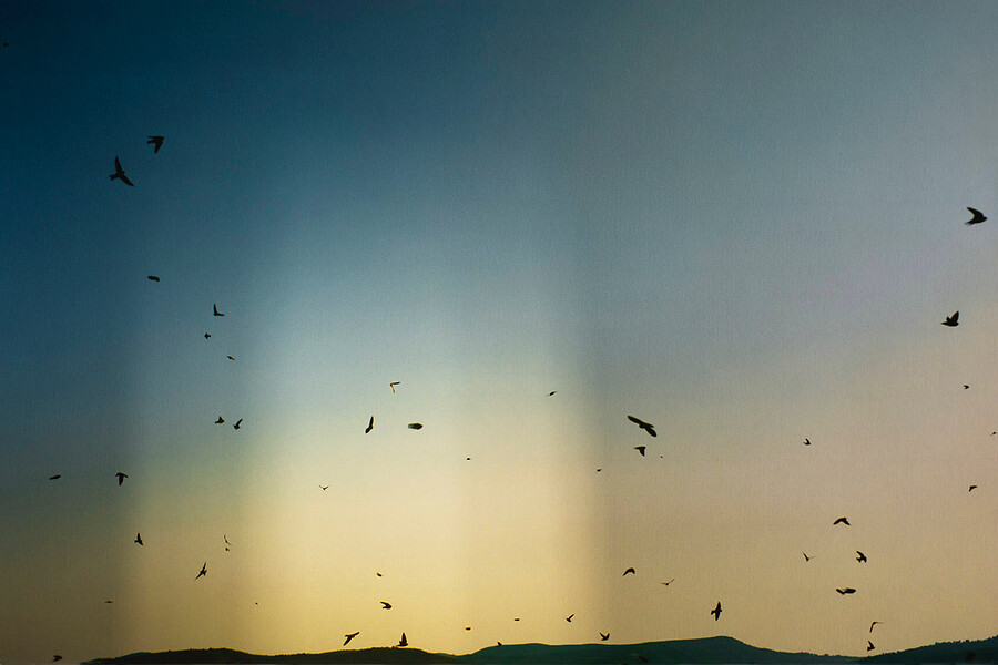 Family Business (Uferschwalben, Albanien), 2015/20 &ndash; aus Burning Heart (19-teilig); Ed. 3 + 2 AP; 58 x 87 cm; Archival Pigment Print auf Rice Papier