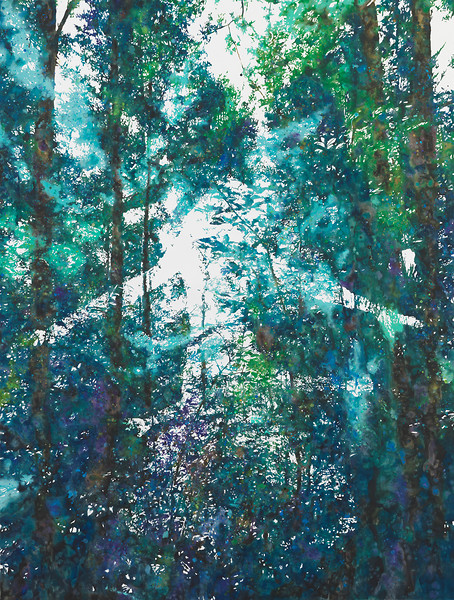 Miranda (that ghost just isn’t holy anymore), 2011 – 200 x 150 cm; Aquarell auf Papier