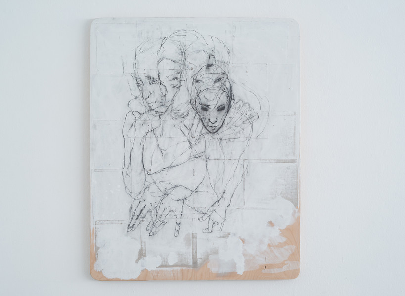 BOTANICALIRIOUS 100#0, 2017-2019 &ndash; 100 x 80 x 3 cm; Graphit, Pigment, Leinen auf Purpurbuche; Foto: Annette Krdisch