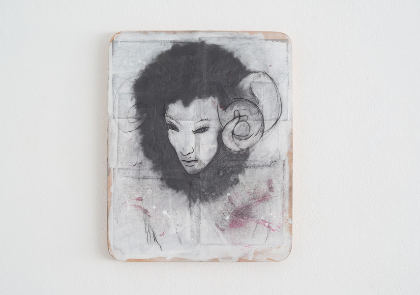 BOTANICALIRIOUS 050#030, 2018-2019 &ndash; 50 x 40 x 3 cm; Graphit, Pigment, Leinen auf Purpurbuche; Foto: Annette Kradisch