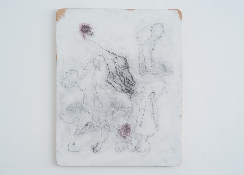 BOTANICALIRIOUS 100#034, 2017-2019 &ndash; 100 x 80 x 3 cm; Graphit, Pigment auf Purpurbuche; Foto: Annette Kradisch