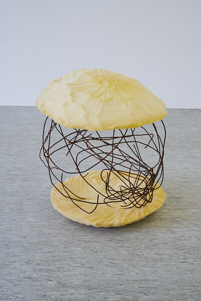ohne Titel, 2026 &ndash; 67 x 67 x 67 cm; Stahldraht, Kunststoff; (Foto: Annette Kradisch)